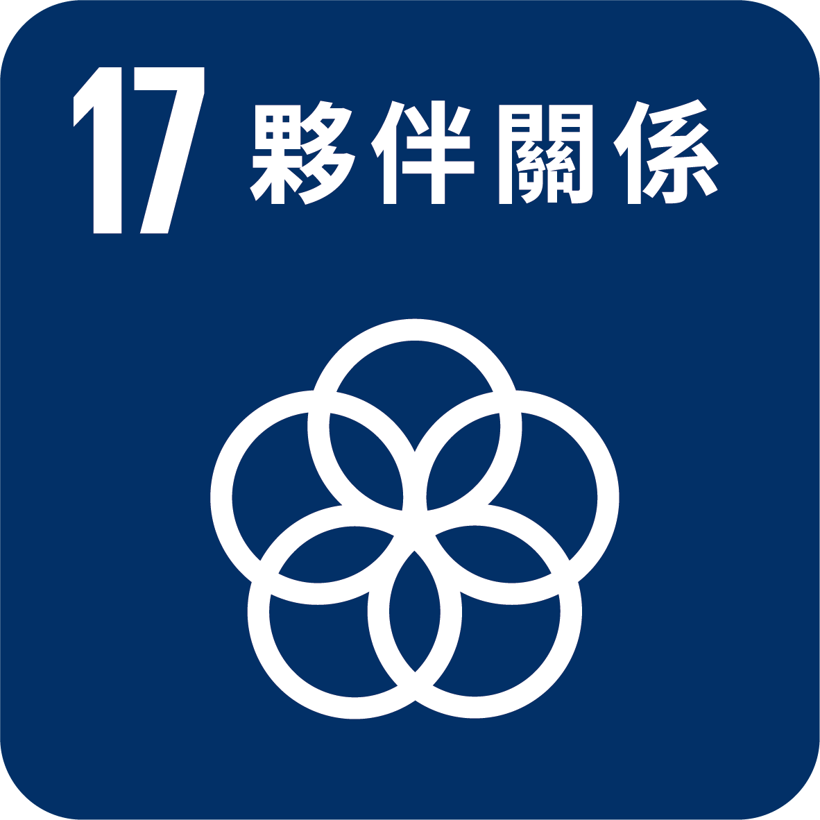 目標17_加強執行手段 重振永續發展的全球夥伴關係